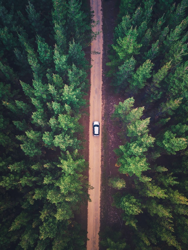 vue aérienne d'une voiture roulant sur route à travers une forêt de pins